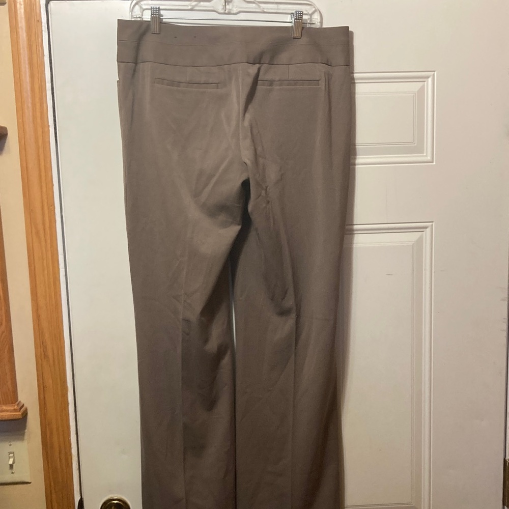 Express Dress Pants in Taupe Brown 10L